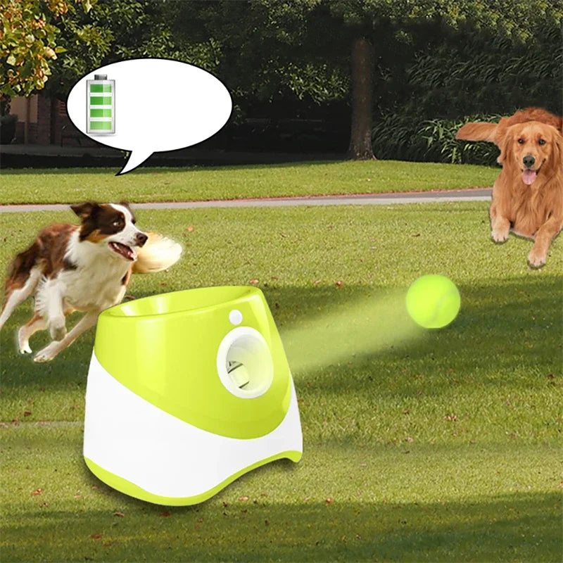 Automatic Pet Tennis Launcher