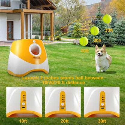 Automatic Pet Tennis Launcher